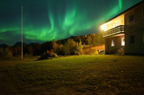 Northern lights room